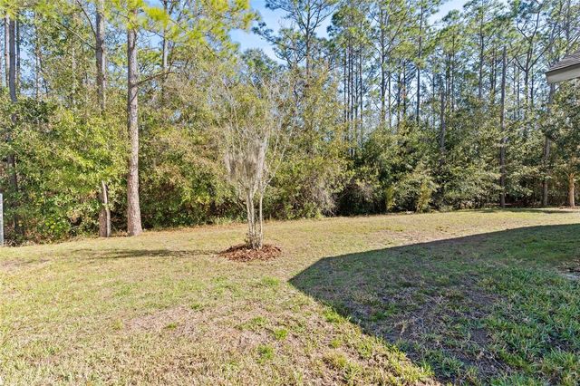 20009 HIDDEN GLEN DRIVE, Land O Lakes, FL 34638