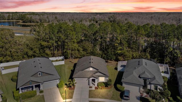 20009 HIDDEN GLEN DRIVE, Land O Lakes, FL 34638