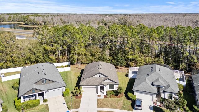 20009 HIDDEN GLEN DRIVE, Land O Lakes, FL 34638