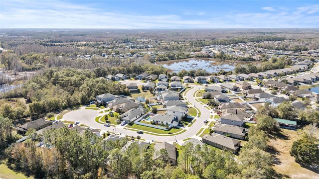 20009 HIDDEN GLEN DRIVE, Land O Lakes, FL 34638