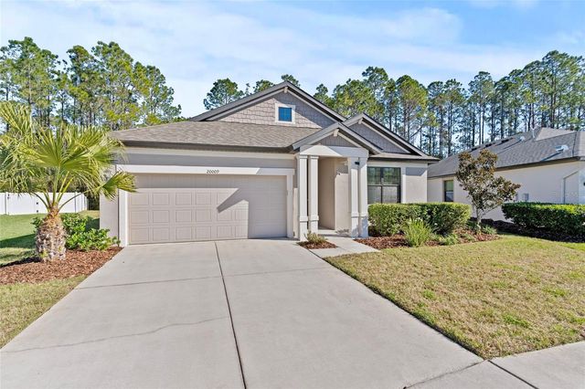 20009 HIDDEN GLEN DRIVE, Land O Lakes, FL 34638