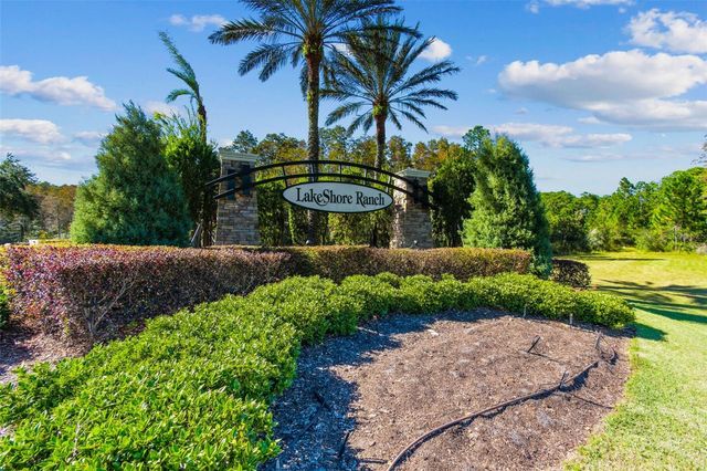 20009 HIDDEN GLEN DRIVE, Land O Lakes, FL 34638