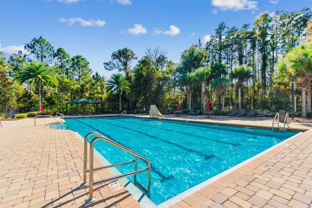 20009 HIDDEN GLEN DRIVE, Land O Lakes, FL 34638