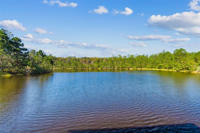 20009 HIDDEN GLEN DRIVE, Land O Lakes, FL 34638
