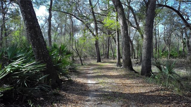 119 SE DORTHIE LAND ROAD, Branford, FL 32008