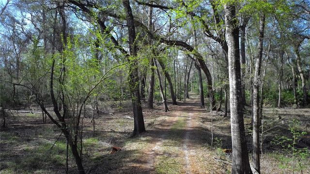 119 SE DORTHIE LAND ROAD, Branford, FL 32008