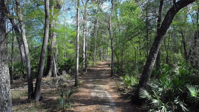 119 SE DORTHIE LAND ROAD, Branford, FL 32008