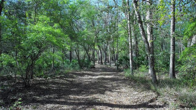 119 SE DORTHIE LAND ROAD, Branford, FL 32008