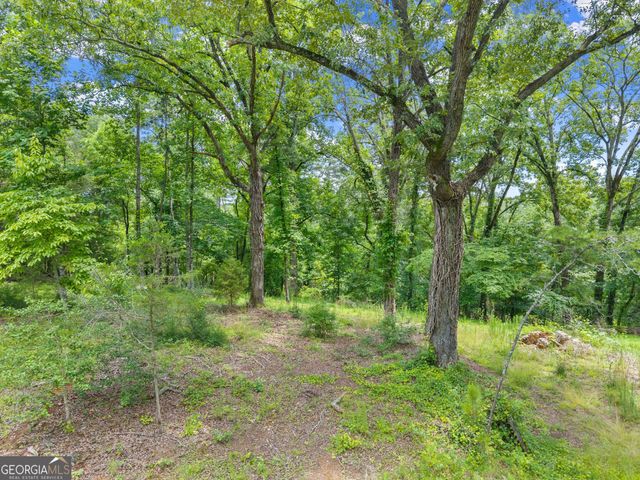 LOT 35 Lakemont Trail, Demorest, GA 30535