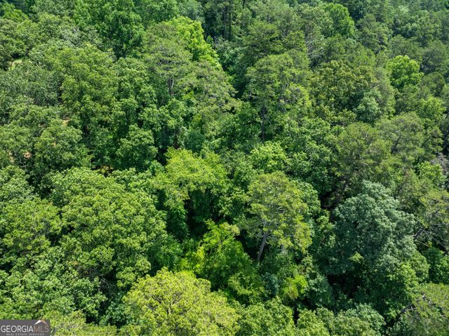 LOT 35 Lakemont Trail, Demorest, GA 30535