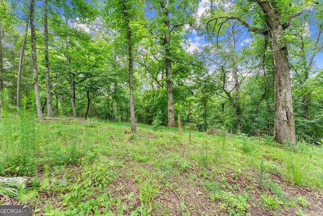 LOT 35 Lakemont Trail, Demorest, GA 30535