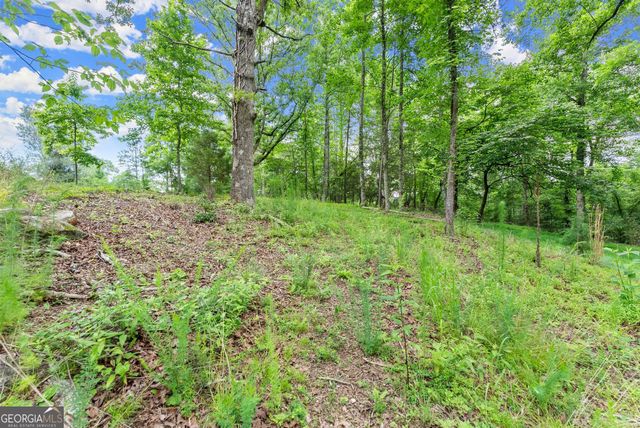 LOT 35 Lakemont Trail, Demorest, GA 30535