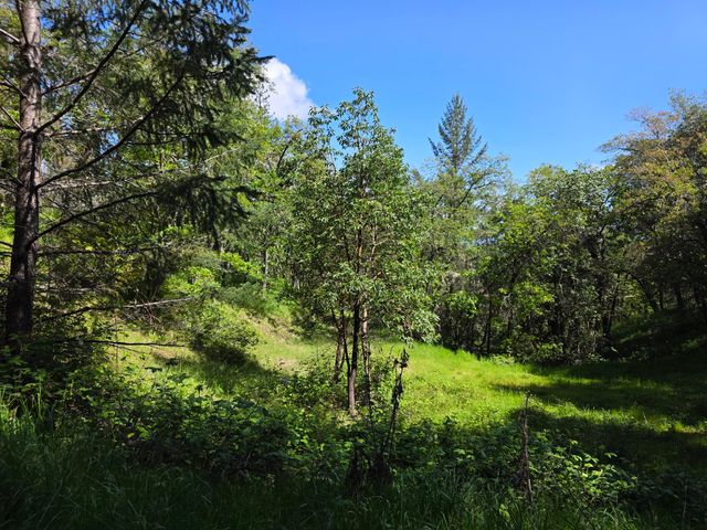 Knowles Road, Medford, OR 97501