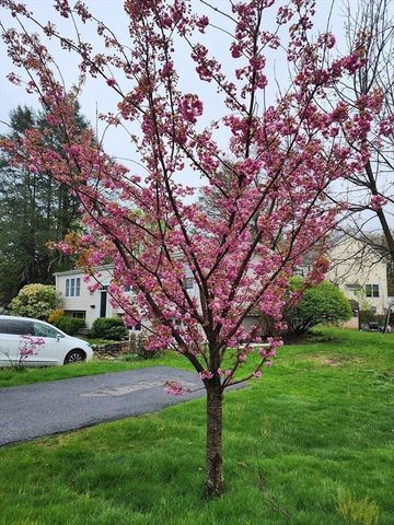 210 Bacon St, Natick, MA 01760