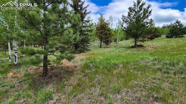 210 Bridlewood Lane, Woodland Park, CO 80863