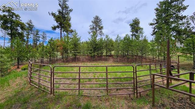 210 Bridlewood Lane, Woodland Park, CO 80863