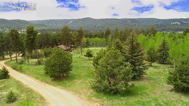 210 Bridlewood Lane, Woodland Park, CO 80863
