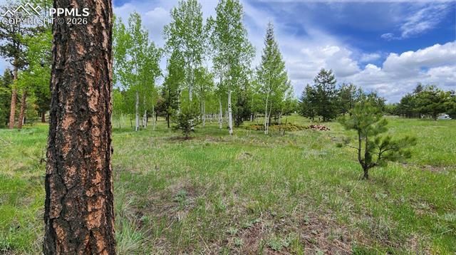 210 Bridlewood Lane, Woodland Park, CO 80863