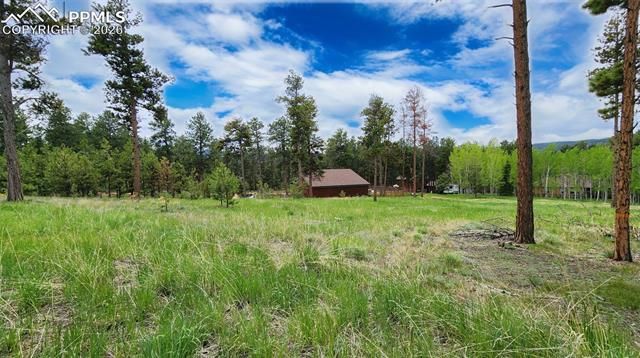 210 Bridlewood Lane, Woodland Park, CO 80863