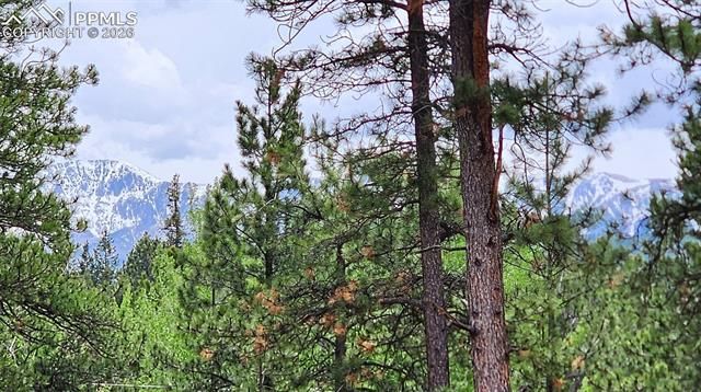 210 Bridlewood Lane, Woodland Park, CO 80863