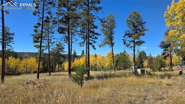 210 Bridlewood Lane, Woodland Park, CO 80863