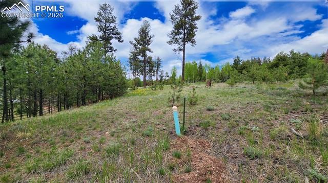 210 Bridlewood Lane, Woodland Park, CO 80863