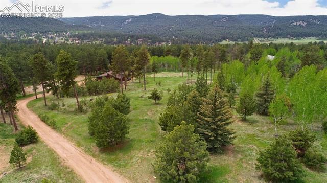 210 Bridlewood Lane, Woodland Park, CO 80863
