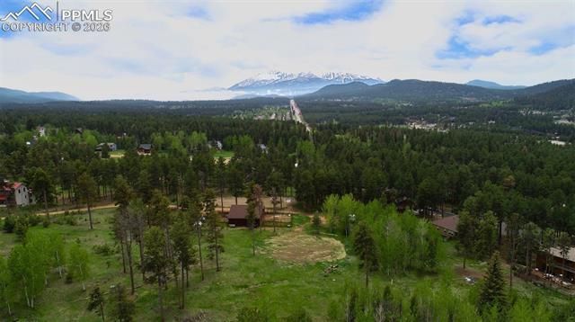 210 Bridlewood Lane, Woodland Park, CO 80863