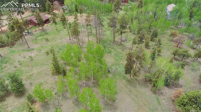 210 Bridlewood Lane, Woodland Park, CO 80863