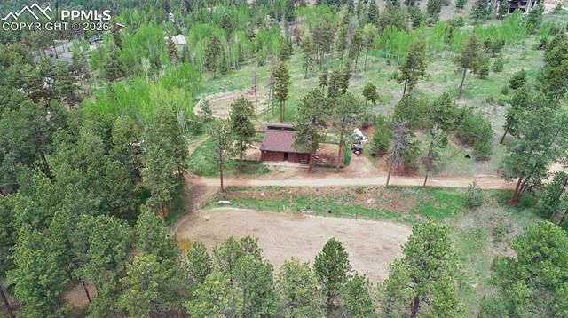 210 Bridlewood Lane, Woodland Park, CO 80863
