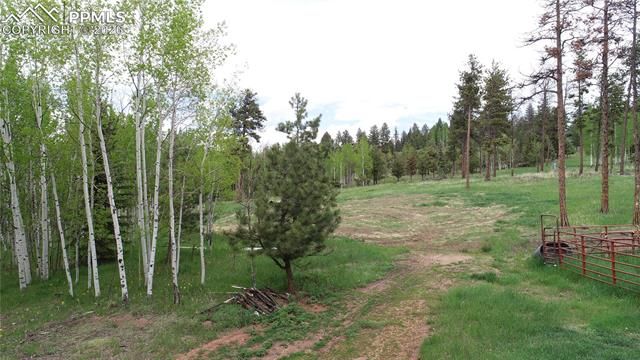 210 Bridlewood Lane, Woodland Park, CO 80863