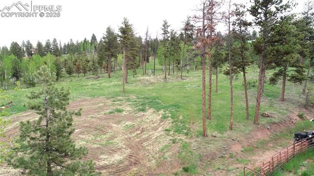 210 Bridlewood Lane, Woodland Park, CO 80863