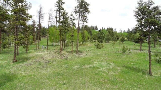 210 Bridlewood Lane, Woodland Park, CO 80863