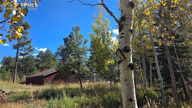 210 Bridlewood Lane, Woodland Park, CO 80863