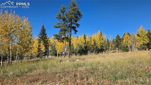 210 Bridlewood Lane, Woodland Park, CO 80863