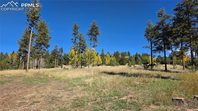 210 Bridlewood Lane, Woodland Park, CO 80863
