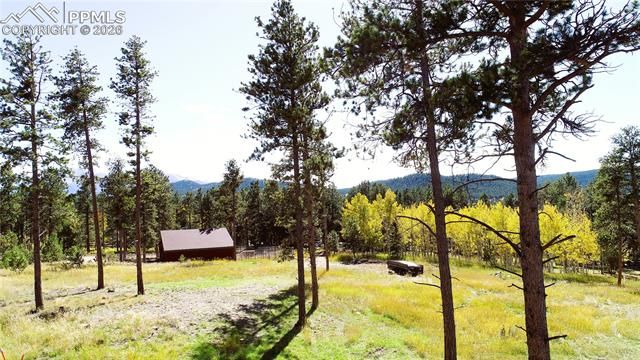 210 Bridlewood Lane, Woodland Park, CO 80863