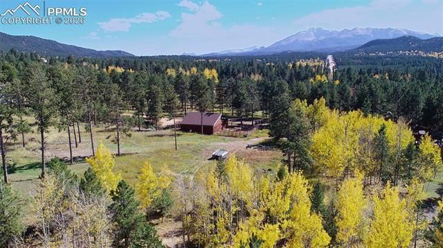 210 Bridlewood Lane, Woodland Park, CO 80863