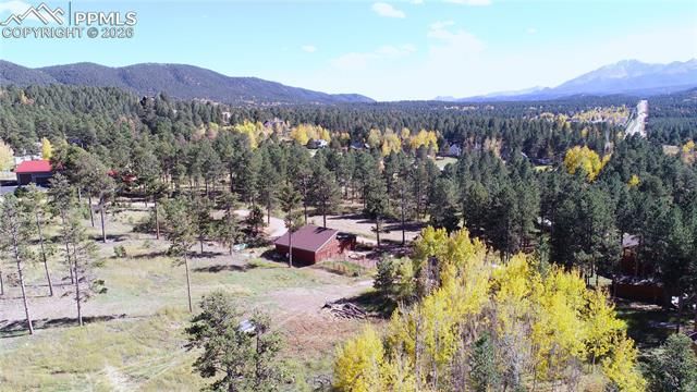 210 Bridlewood Lane, Woodland Park, CO 80863