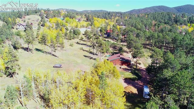 210 Bridlewood Lane, Woodland Park, CO 80863