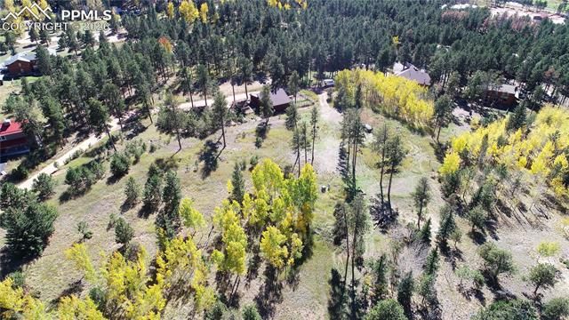 210 Bridlewood Lane, Woodland Park, CO 80863