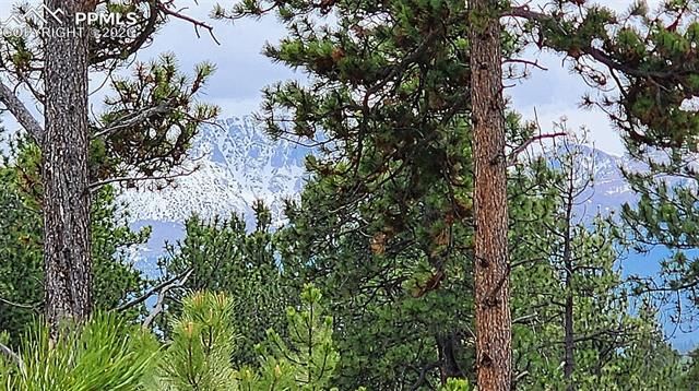210 Bridlewood Lane, Woodland Park, CO 80863
