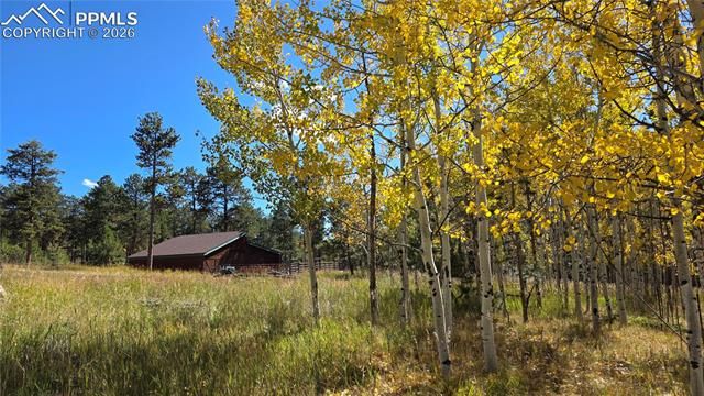 210 Bridlewood Lane, Woodland Park, CO 80863