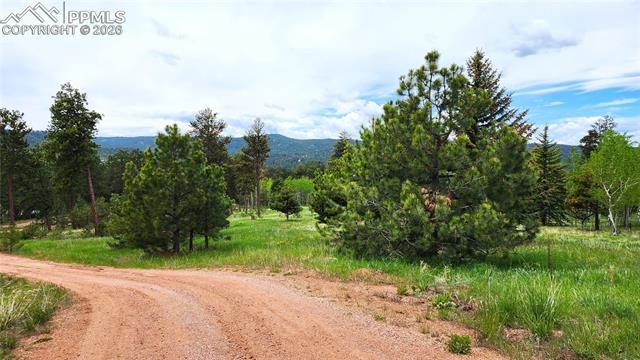 210 Bridlewood Lane, Woodland Park, CO 80863
