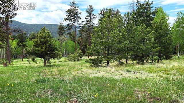 210 Bridlewood Lane, Woodland Park, CO 80863