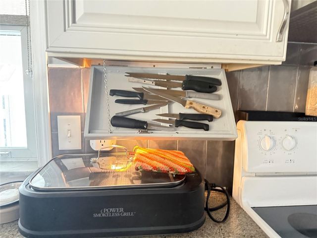 4995 MOUNT OLIVE SHORES DRIVE, Polk City, FL 33868