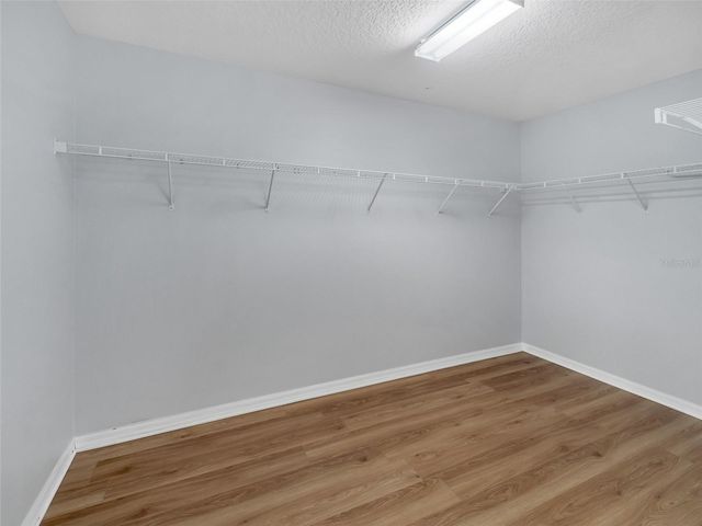 2142 BRANDYWINE FALLS WAY, Orlando, FL 32824