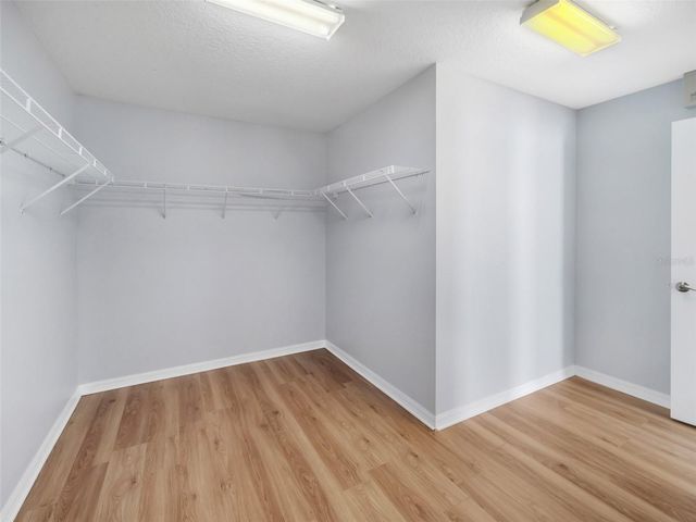 2142 BRANDYWINE FALLS WAY, Orlando, FL 32824