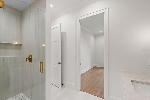 423 S ROYAL POINCIANA DRIVE, Tampa, FL 33609