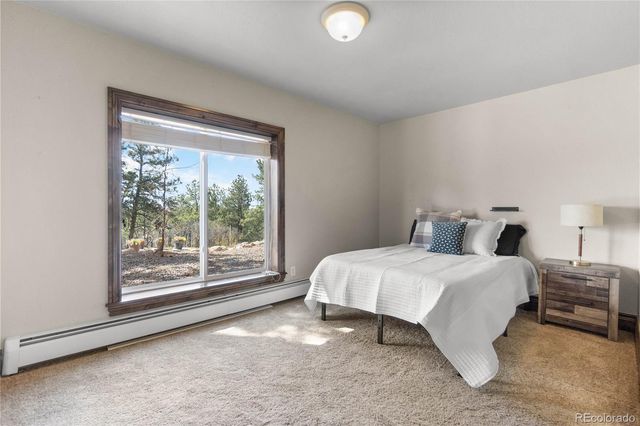 11066 Tomichi Drive, Franktown, CO 80116